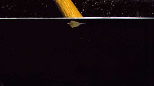 Maïskolf vallen in water in super slow motion — Stockvideo