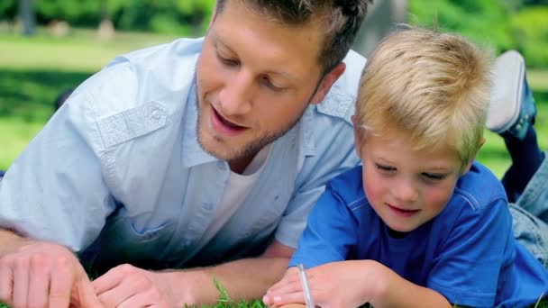 Vader praten met zijn zoon en wordt gewezen op de grond als ze in het gras liggen — Stockvideo