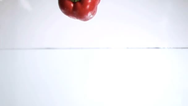 Pepper falling into water in super slow motion — Stock Video
