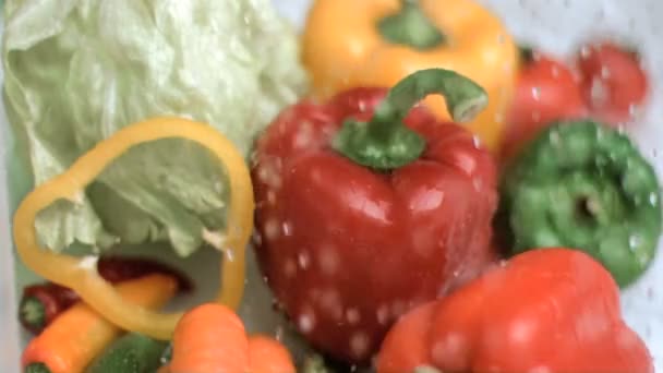 Llueve agua sobre verduras en cámara súper lenta — Vídeo de stock