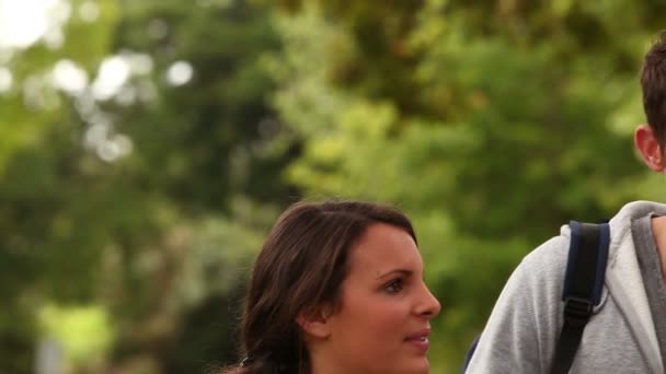 Casseroles de caméra pour montrer quatre amis se regardant comme le stand dans un parc — Video