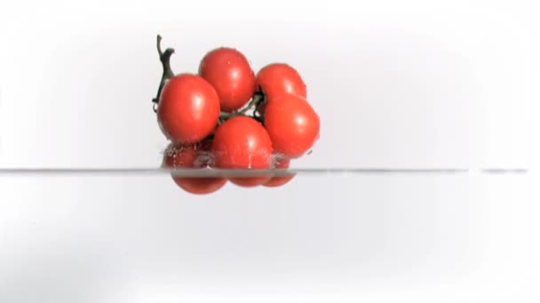 Tomates cayendo en el agua en cámara súper lenta — Vídeos de Stock