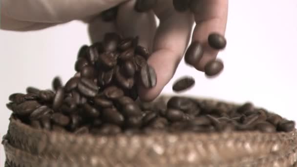 Kávová zrna v pomalém pohybu — Stock video