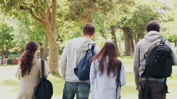 Vier Freunde schauen in die Kamera, bevor sie sich umdrehen und gehen — Stockvideo