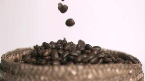 Coffee beans falling in super slow motion — Stock Video