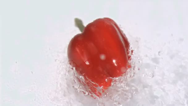 Peppar slå i vatten i super slow motion — Stockvideo