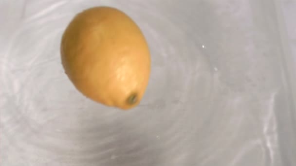 Лимон падает в воду в замедленной съемке — стоковое видео