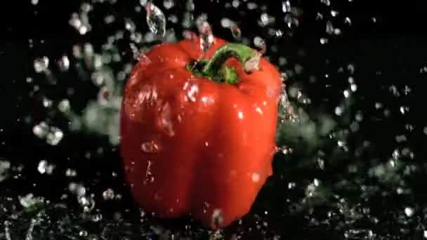 Water raining on pepper in super slow motion — Stock Video