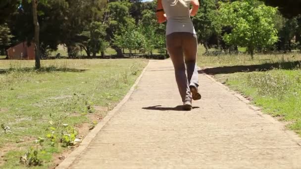 En kvinna jogs förbi kameran och ner en gångstig — Stockvideo