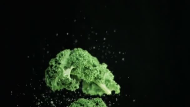 Broccoli gegooid omhoog in super slow motion — Stockvideo