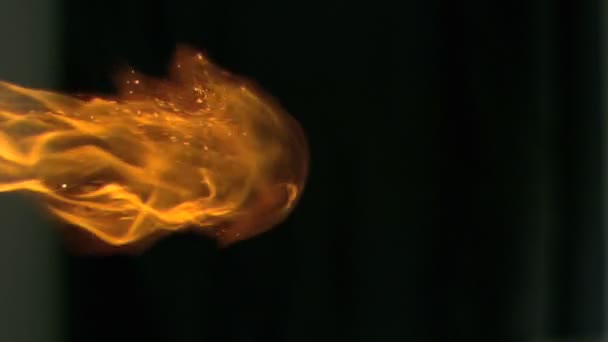 Burning fire in super slow motion — Stock Video