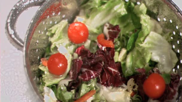 Salata süper yavaş çekimde elek — Stok video