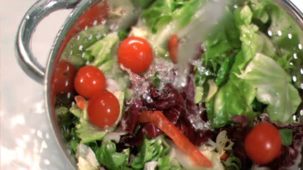 Салат вымывают в замедленной съемке — стоковое видео