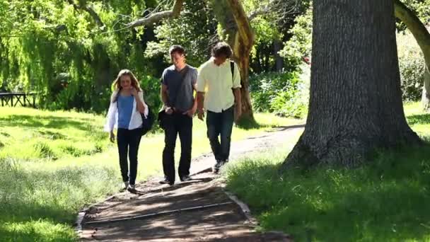 Tři přátelé mluvit k sobě navzájem, jak chodí na park stezce — Stock video