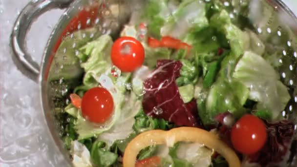 Salada a ser lavada em câmara super lenta — Vídeo de Stock