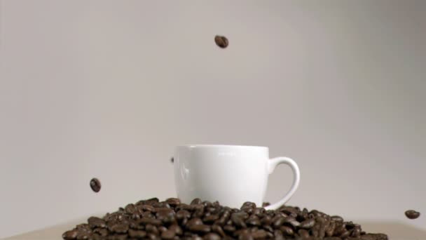 Kaffeebohnen fallen in Superzeitlupe in Tasse — Stockvideo