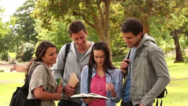 Dört arkadaş birlikte parkta dururken bir kitap işaret ederken gülmek — Stok video