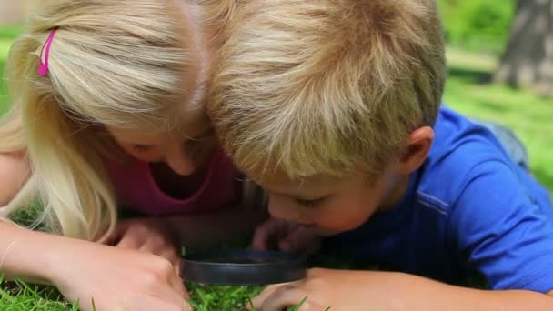 Two children searching through grass with a magnifying glass before the boy looks at the camera — Stock Video