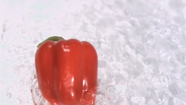 Peper draaien in water in super slow motion — Stockvideo