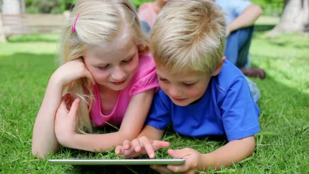 Брат и сестра вместе используют планшетный компьютер, лежа в траве — стоковое видео