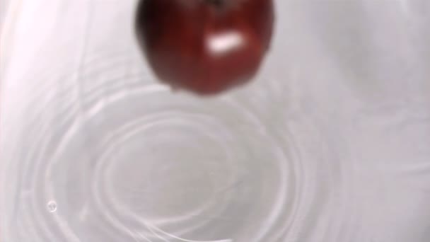 Apple falling into water in super slow motion — Stock Video