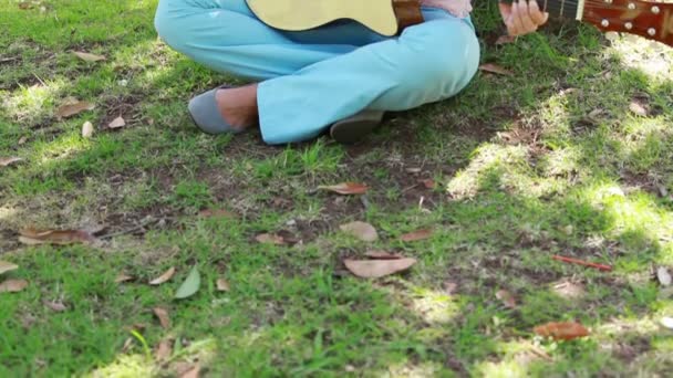 Fotoaparát se tyčí Ukázat dívka hrající kytaru v parku — Stock video