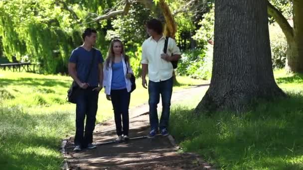 Three students talking to each other as they walk on a park trail — Stock Video