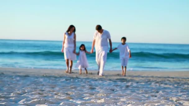 Familia caminando en la playa de la mano — Vídeo de stock