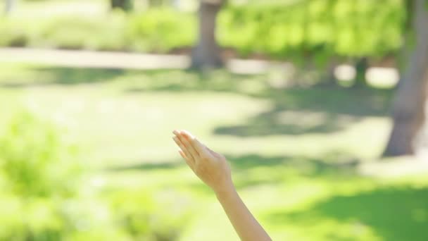 Een vrouw voert yoga terwijl de camera pannen naar benedenbir kadın kamera tava aşağı süre yoga yapar — Stockvideo