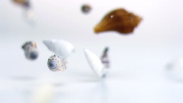 Shells falling in super slow motion — Stock Video