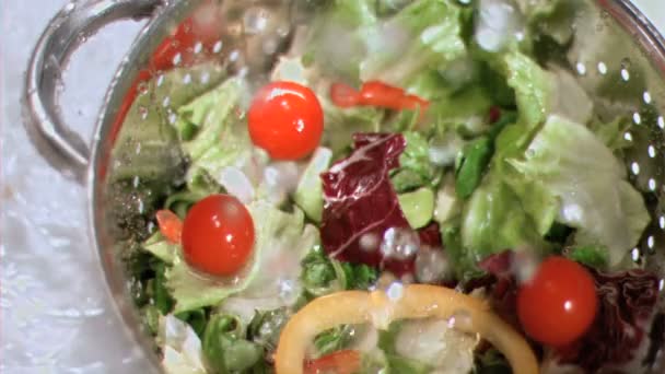 Salata süper ağır çekim yıkanmış — Stok video