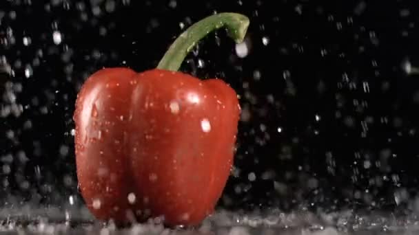 Chuva caindo sobre uma pimenta em movimento super lento — Vídeo de Stock