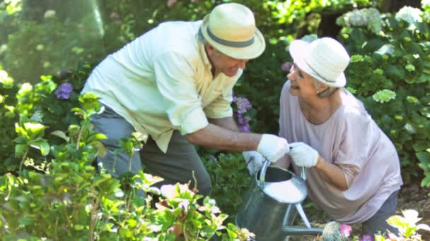 Старі люди поливають рослини повільним рухом — стокове відео