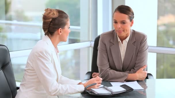 Empresarias hablando juntas — Vídeos de Stock