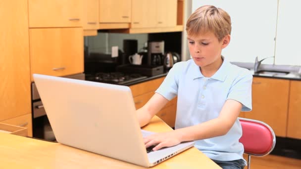 Kleine jongen met behulp van een laptop — Stockvideo