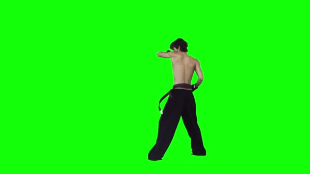 Człowiek wykonujący karate w zwolnionym tempie — Wideo stockowe