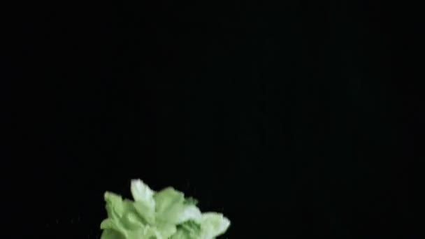 Lettuce thrown upwards in super slow motion — Stock Video