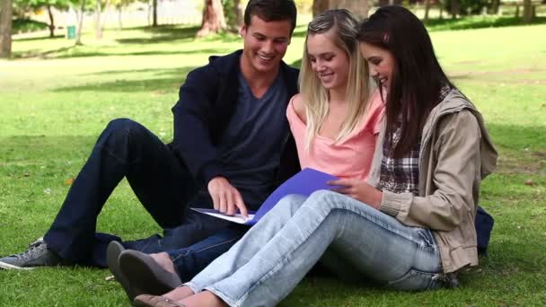 Üç arkadaş bir parkta birlikte bir kitap okudukları gibi gülüyor — Stok video