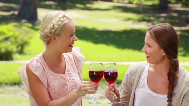 Deux femmes qui boivent du vin dans le parc pendant qu'elles se parlent — Video