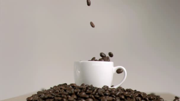 Кофе в зернах падает в чашку в супер замедленной съемке — стоковое видео