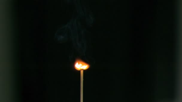 Matchstick burning in super slow motion — Stock Video