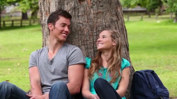 Dos amigos sonriendo mientras se miran mientras están sentados contra un árbol — Vídeos de Stock