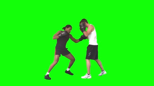 Чоловіки боксу в повільному русі — стокове відео