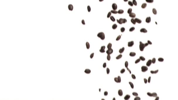 Granos de café cayendo en cámara súper lenta — Vídeo de stock