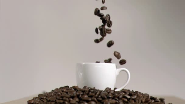 Coffee beans dropping in cup in super slow motion — Stock Video