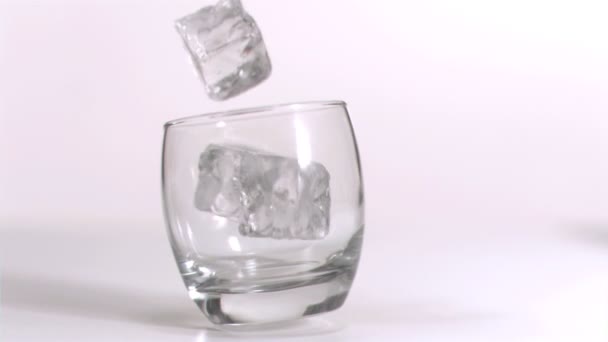 Ледяные кубики падают в замедленной съемке — стоковое видео
