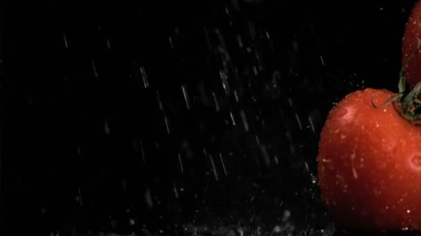 Βροχή σε σούπερ αργή κίνηση που υπάγονται στις ντομάτες — Αρχείο Βίντεο