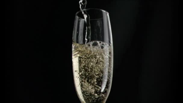 Champagner fließt in Superzeitlupe in einer Flöte — Stockvideo