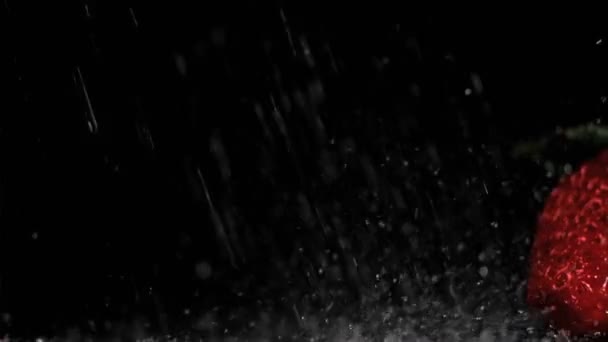 Morangos em super câmera lenta sendo molhado — Vídeo de Stock