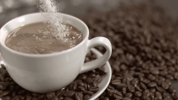 Кастер сахар наливают в супер замедленной съемке — стоковое видео